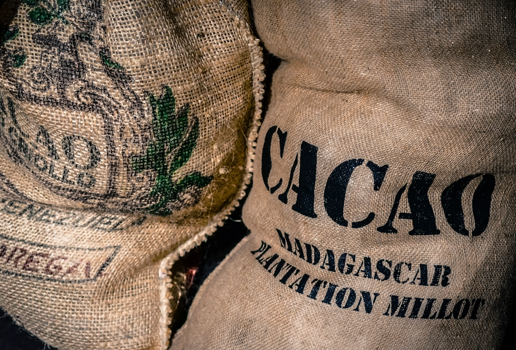 Editorial : Evaluating the impact of Cocoa Forastero import from West Africa to Europe.